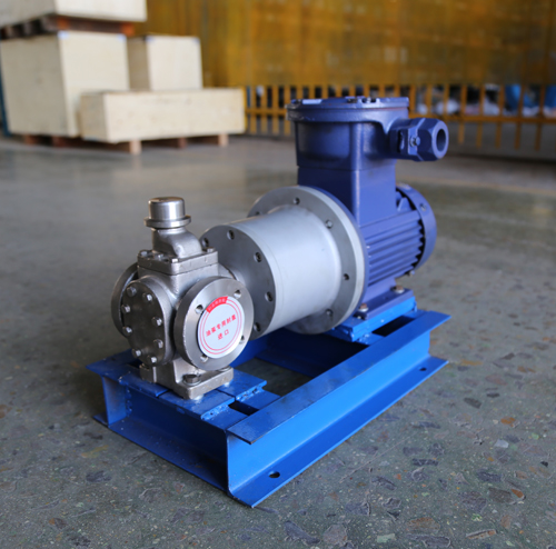 圓弧齒輪泵YCB10-1.6整機(jī)、配磁力聯(lián)軸器.JPG